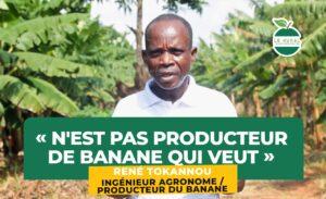 Au Bénin, il existe plusieurs variétés de bananes. Certaines sont d’un jaune pur, d’autres moins. Il n’y a pas que « Aloga ».