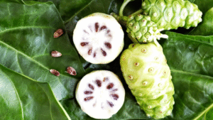 Alors que l’agriculture locale est en quête de cultures durables, économiques et résistantes, le noni se révèle être une plante aux nombreux avantages.
