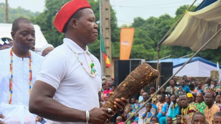 Au Bénin, parler de l’igname, c’est parler de culture, de tradition et même d’économie, mais d'abord l'agriculture