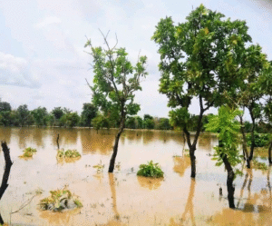 Il ne s’agit plus de simples variations climatiques. Désormais, les changements climatiques étouffent les semis, détruisent les cultures et plongent les paysans dans des pertes et des dettes.