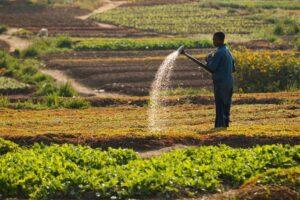 Des milliards ont été injectés dans l’agriculture à chaque campagne agricole pour soutenir les acteurs. À cela s’ajoute l’appui croissant de partenaires techniques et financiers à travers des projets agricoles structurants. Mais une interrogation demeure essentielle. Il s’agit de comment garantir la durabilité des acquis obtenus une fois que les projets prennent fin.