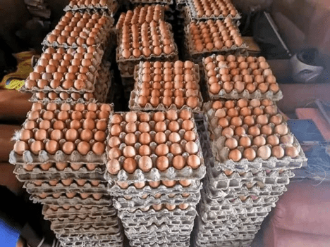 La lutte contre l’entrée illégale d’œufs et de produits avicoles reprend dans le Mono.