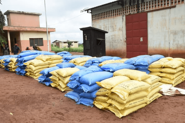 La FAO Bénin et le Gouvernement béninois, à travers le ministère de l’Agriculture, de l’Élevage et de la Pêche, ont remis plus de 21 tonnes d’engrais à douze coopératives de producteurs de maïs à Lalo