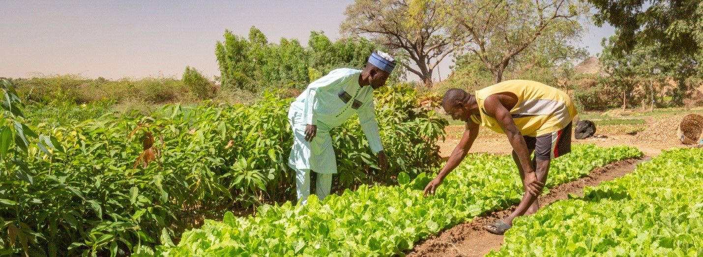 Le sommet annuel du Forum africain sur les systèmes alimentaires s'ouvre à Dakar, au Sénégal, du 31 août au 5 septembre.