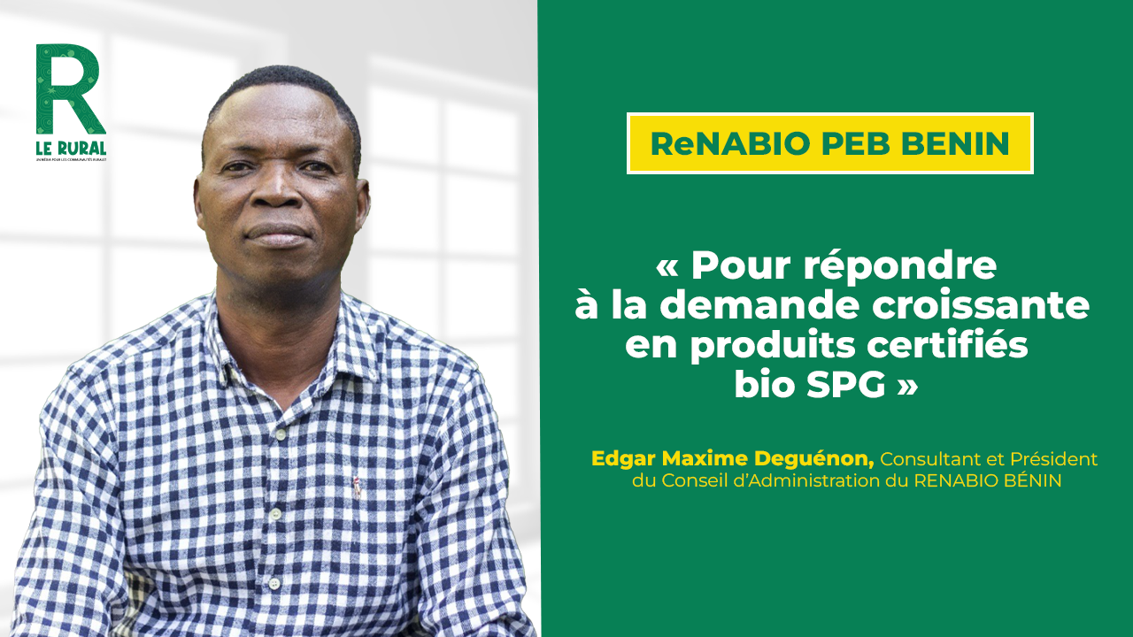 ReNABIO Bénin a été mise en place dans un contexte où il y a une demande de plus en plus croissante de produits sains, notamment des produits certifiés biologiques SPG