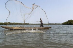 Les pêcheurs artisanaux de Sèmè-Podji, Cotonou, Ouidah et Grand-Popo peuvent se réjouir. Selon le Bulletin Spécial Pêche Artisanale publié pour la période du 24 au 27 septembre 2025, les conditions de pêche seront favorables sur l’ensemble des côtes béninoises. 