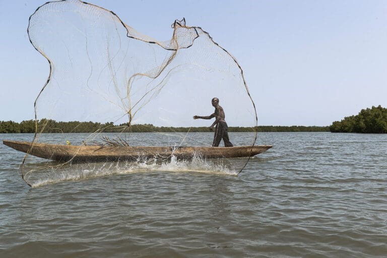 Les pêcheurs artisanaux de Sèmè-Podji, Cotonou, Ouidah et Grand-Popo peuvent se réjouir. Selon le Bulletin Spécial Pêche Artisanale publié pour la période du 24 au 27 septembre 2025, les conditions de pêche seront favorables sur l’ensemble des côtes béninoises.