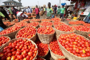 En pleine période de soudure, les marchés agricoles du Bénin affichent depuis le mois d'août 2025 une tendance globalement baissière des prix.