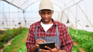 Au Bénin, des jeunes agriculteurs utilisent les réseaux sociaux comme de véritables outils de croissance. 