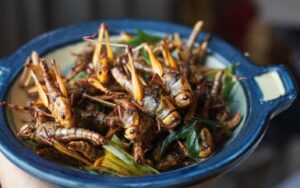 L'économie des insectes comestibles connaît une croissance rapide en 2025.