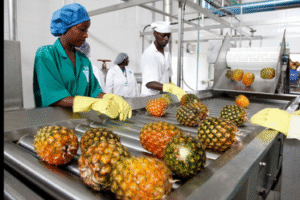 Le gouvernement béninois a décidé de construire une plateforme agroalimentaire dans la commune d'Abomey-Calavi