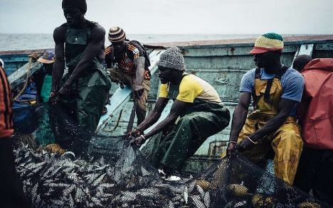 La pêche continentale, bien que souvent reléguée au second plan, joue un rôle fondamental dans la sécurité alimentaire et la résilience économique des communautés locales.