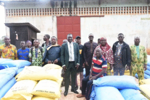 Dans le cadre de son mandat, la FAO Bénin poursuit son engagement pour renforcer la sécurité alimentaire et nutritionnelle au Bénin. 