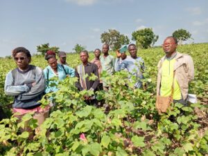 La tournée de suivi de la campagne cotonnière 2025 se poursuit activement dans la zone centre et sud du Bénin. Conduite par le Président de la Fédération Nationale des Coopératives Villageoises de Producteurs de Coton du Bénin (FNCVPC), Gani Badou Tamou