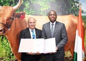 Entre 2015 et 2023, la filière porcine ivoirienne a été durement éprouvée par cinq épizooties de peste porcine africaine (PPA), occasionnant des pertes directes estimées à 9,2 milliards FCFA (environ 15 millions $).