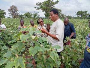 Après Glazoué, Bohicon, Djidja et Couffo, la délégation de la mission conjointe de suivi de la production cotonnière dans la zone Centre et Sud, coordonnée par la Fédération Nationale des Coopératives Villageoises de Producteurs de Coton du Bénin (FNCVPC)