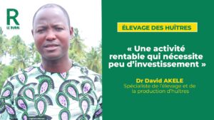 À côté du poisson et de la viande, dont l’accès peut parfois être limité pour certaines populations, une nouvelle source de protéines de qualité à moindre coût se distingue.