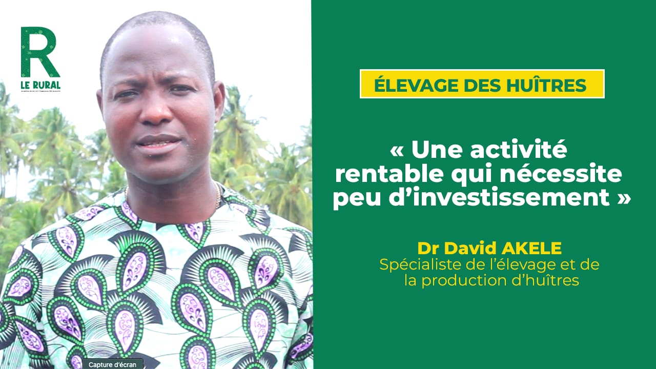 À côté du poisson et de la viande, dont l’accès peut parfois être limité pour certaines populations, une nouvelle source de protéines de qualité à moindre coût se distingue.