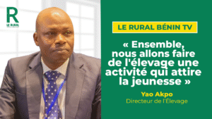 En marge du SPACE 2025 à Rennes, le Directeur de l’élevage, Yao Akpo, revient sur les acquis de la participation béninoise. Amélioration génétique, insémination artificielle, production fourragère, mini-abattoirs, formation des jeunes, organisation d’un salon national agricole : autant d’innovations que le Bénin entend adapter pour renforcer la productivité, moderniser ses filières et positionner l’élevage comme un moteur de développement durable et compétitif.