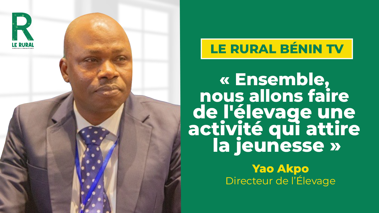 En marge du SPACE 2025 à Rennes, le Directeur de l’élevage, Yao Akpo, revient sur les acquis de la participation béninoise. Amélioration génétique, insémination artificielle, production fourragère, mini-abattoirs, formation des jeunes, organisation d’un salon national agricole : autant d’innovations que le Bénin entend adapter pour renforcer la productivité, moderniser ses filières et positionner l’élevage comme un moteur de développement durable et compétitif.