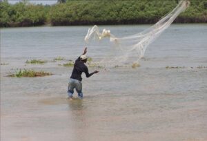 Du 08 au 11 octobre 2025, les conditions pour la pêche artisanale seront moyennement favorables sur l’ensemble du littoral béninois, de Sèmè-Podji à Grand-Popo, selon le Bulletin spécial Pêche de Météo Bénin.