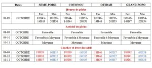 Du 08 au 11 octobre 2025, les conditions pour la pêche artisanale seront moyennement favorables sur l’ensemble du littoral béninois, de Sèmè-Podji à Grand-Popo, selon le Bulletin spécial Pêche de Météo Bénin. 