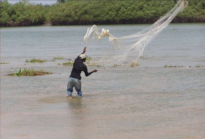 Du 08 au 11 octobre 2025, les conditions pour la pêche artisanale seront moyennement favorables sur l’ensemble du littoral béninois, de Sèmè-Podji à Grand-Popo, selon le Bulletin spécial Pêche de Météo Bénin.