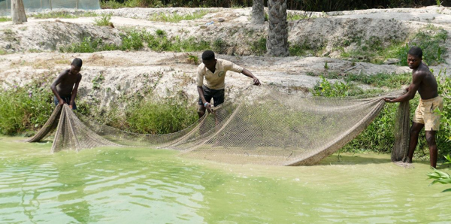 Le gouvernement ghanéen a annoncé la création d’un fonds de développement dédié au secteur agricole, dans le but de transformer l’aquaculture en un moteur de sécurité alimentaire, de création d’emplois et de développement durable.