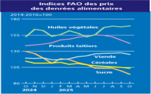 Les coûts des denrées alimentaires sur le marché mondial reflètent l’équilibre entre production, demande et facteurs géopolitiques.
