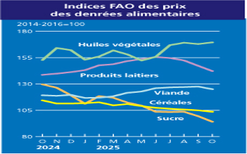 Les coûts des denrées alimentaires sur le marché mondial reflètent l’équilibre entre production, demande et facteurs géopolitiques.