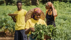 Le jeudi 6 novembre 2025, un accord-cadre de coopération a été signé entre le Centre de formation Liweitari (Cfl Ong) et le Groupe Kigani dada de Kpéssou (K-d.k).