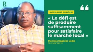 Plus d’un an déjà que les nouveaux membres de l’Union Nationale des Aviculteurs Professionnels du Bénin (UNAP-Bénin) ont pris la tête de l’organisation.