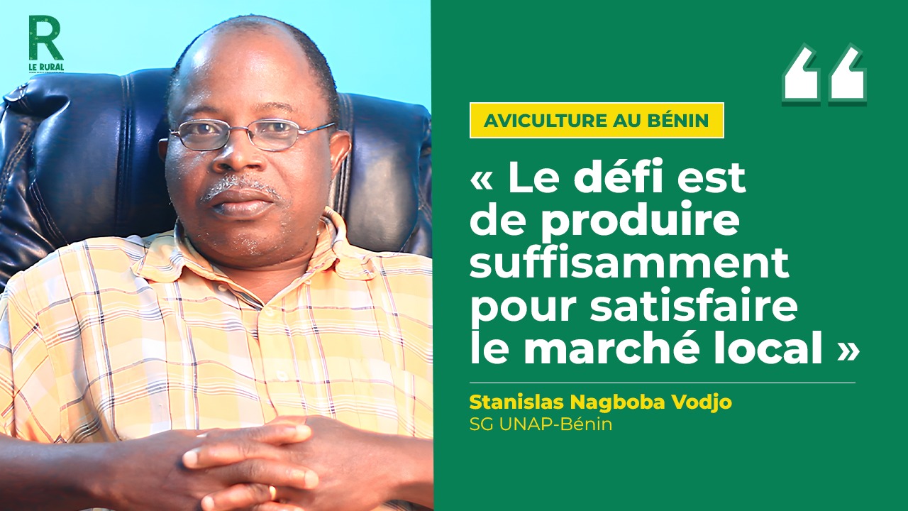 Plus d’un an déjà que les nouveaux membres de l’Union Nationale des Aviculteurs Professionnels du Bénin (UNAP-Bénin) ont pris la tête de l’organisation.