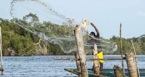 Le Bénin, avec sa côte riche en biodiversité marine, offre cette semaine des conditions globalement favorables à la pêche artisanale. Selon le Bulletin Spécial Pêche publié par Meteo Benin, la période du 05 au 08 novembre 2025 s’annonce propice pour les pêcheurs opérant entre Sèmè-Podji et Grand-Popo.