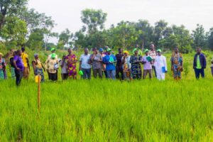 Lancé officiellement 2022, le Programme Régional d’Intégration des Marchés Agricoles (PRIMA) fait son petit bonhomme de chemin. Elle marque progressivement une nouvelle étape stratégique dans la transformation de l’agriculture au Bénin. D’une durée de huit ans (2022–2030), ce programme cofinancé par le gouvernement béninois et le Fonds International de Développement Agricole (FIDA) ambitionne de stimuler le commerce agricole régional, renforcer la sécurité alimentaire et donner une impulsion décisive à l’économie rurale, en particulier aux exploitations familiales.
