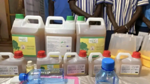 Mango Protect, biopesticide 100 pour cent naturel, récompensé au MITA 2024, améliore fortement la lutte contre les mouches de fruits.