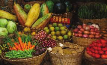 La baisse des prix agricoles mondiaux a été confirmée par la Banque mondiale en 2025, avec un recul notable des cours du riz, du blé et d’autres produits agricoles de base, influençant directement les systèmes agricoles.