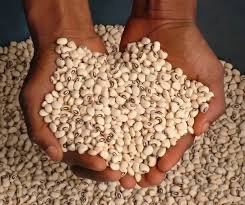 Les projections pour la campagne agricole 2025-2026 confirment une dynamique haussière avec en ligne de mire une production vivrière record.