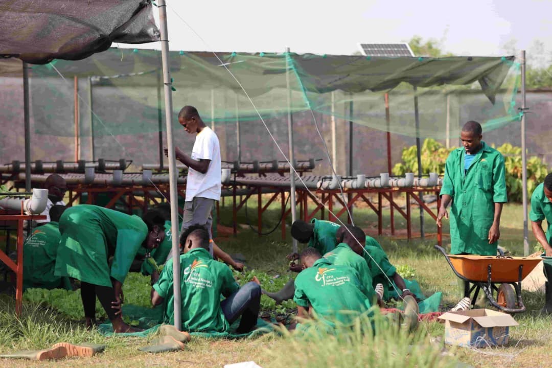 Et de deux. Après avoir engagé d’importantes réformes pour élargir l’accès à la formation agricole notamment la construction et la réhabilitation de 30 Lycées Techniques Agricoles et le recrutement, sur concours, de plus de 662 élèves-professeurs envoyés en formation à l’étranger, le gouvernement estime avoir réuni les conditions nécessaires et engage désormais la phase opérationnelle de la réforme. À compter de la rentrée scolaire 2026, dix nouvelles filières seront ouvertes dans les Lycées Techniques Agricoles. L’annonce, faite à travers un communiqué officiel en date de 22 janvier 2026, s’adresse aux populations béninoises, en particulier aux parents d’élèves et aux jeunes en quête d’orientation professionnelle.