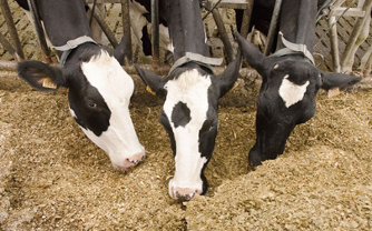 En Côte d’Ivoire, une mesure importante a été annoncée. Le taux de la taxe sur la valeur ajoutée (TVA) passera de 18 % à 9 % pour certains produits et opérations. Cette information a été communiquée par le Directeur Général de la Direction Générale des Impôts (DGI).