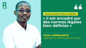 La pêche n’est pas seulement une activité économique : c’est un enjeu de sécurité alimentaire et de santé publique. Mais comment s’assure-t-on que les produits halieutiques soient sûrs pour le consommateur ? Pour répondre à cette question, nous avons reçu Victor Ahomlanto, Ingénieur diplômé de développement rural, qui nous explique, dans cet entretien, le cadre légal, les normes de sécurité, et les actions de formation et de contrôle qui encadrent la filière au Bénin.
