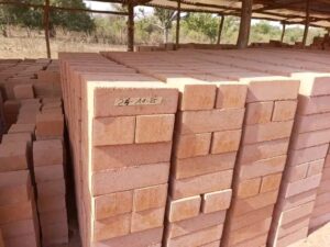 Dans la foulée du lancement, une délégation conduite par la Cheffe suppléante de la Coopération suisse, également Cheffe du domaine Économie et Renforcement des compétences, accompagnée de la Chargée de Programme du même domaine sur le PDIEM, a effectué une visite de terrain le 27 janvier 2026.