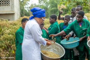 la ministre Véronique Tognifodé a mené une tournée de contrôle dans le Lycée Technique Agricole d’Adja-Ouèrè ainsi que dans les lycées techniques professionnels de Pobè, Porto-Novo et Kpondéhou.
