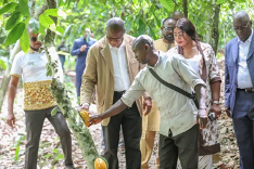 Le ministre ivoirien de l’Agriculture, Bruno Nabagné Koné, a effectué une visite de terrain le 18 février 2026 à Yakassé-Attobrou, près d’Adzopé, afin d’échanger avec les producteurs et les responsables de coopératives agricoles.