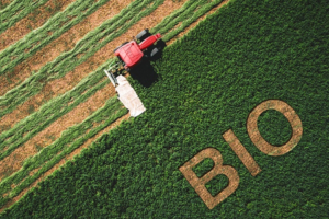 L’agriculture biologique en Afrique connaît, en 2024, une baisse importante de ses superficies certifiées. Selon le rapport The World of Organic Agriculture, publié par l’Institut de recherche de l’agriculture biologique, les terres consacrées au bio ont diminué de 17,6 %. Cette situation marque un tournant pour le secteur, principalement en raison des nouvelles règles imposées par l’Union européenne.