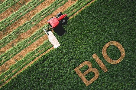 L’agriculture biologique en Afrique connaît, en 2024, une baisse importante de ses superficies certifiées. Selon le rapport The World of Organic Agriculture, publié par l’Institut de recherche de l’agriculture biologique, les terres consacrées au bio ont diminué de 17,6 %. Cette situation marque un tournant pour le secteur, principalement en raison des nouvelles règles imposées par l’Union européenne.