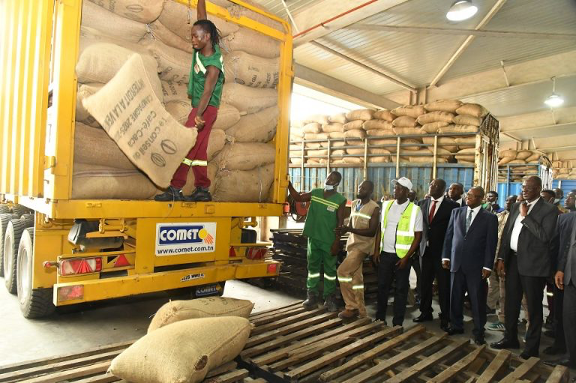 Le Conseil du café-cacao poursuit, dans ses treize délégations régionales en Côte d’Ivoire, l’enlèvement de 123 000 tonnes de cacao résiduel. L’opération, lancée fin janvier 2026 à Abidjan, vise à fluidifier la commercialisation et à préserver les revenus des producteurs.