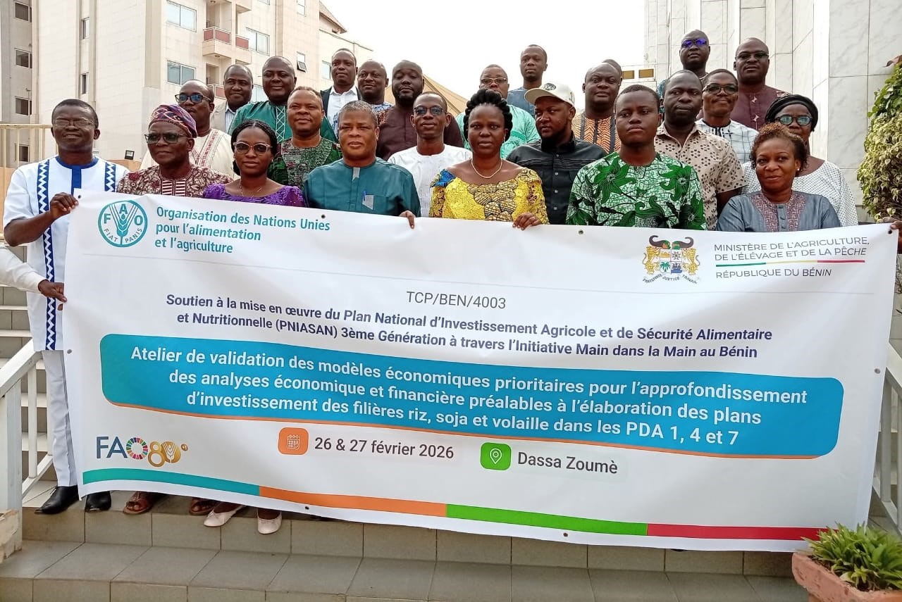 La Organisation des Nations Unies pour l’alimentation et l’agriculture et le Ministère de l’Agriculture, de l’Élevage et de la Pêche valident des modèles économiques pour dynamiser les filières riz, soja et volaille au Bénin.