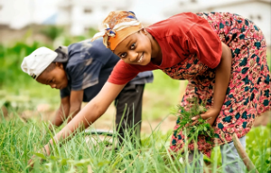 Selon le site internet du média ‘’Le Soleil’’, Proparco a accordé un financement de 1,3 milliard de FCFA à Vision Fund Sénégal afin de soutenir l’inclusion financière des femmes rurales. L’annonce a été faite récemment au Sénégal dans le cadre de l’initiative FARM, dédiée à la résilience agricole.