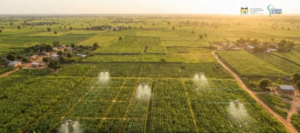 Le Bénin s’inscrit résolument dans une trajectoire de transformation profonde avec l’adoption de la Vision « Bénin 2060 Alafia – un monde de splendeurs », un cadre stratégique de long terme destiné à façonner un avenir prospère et durable.